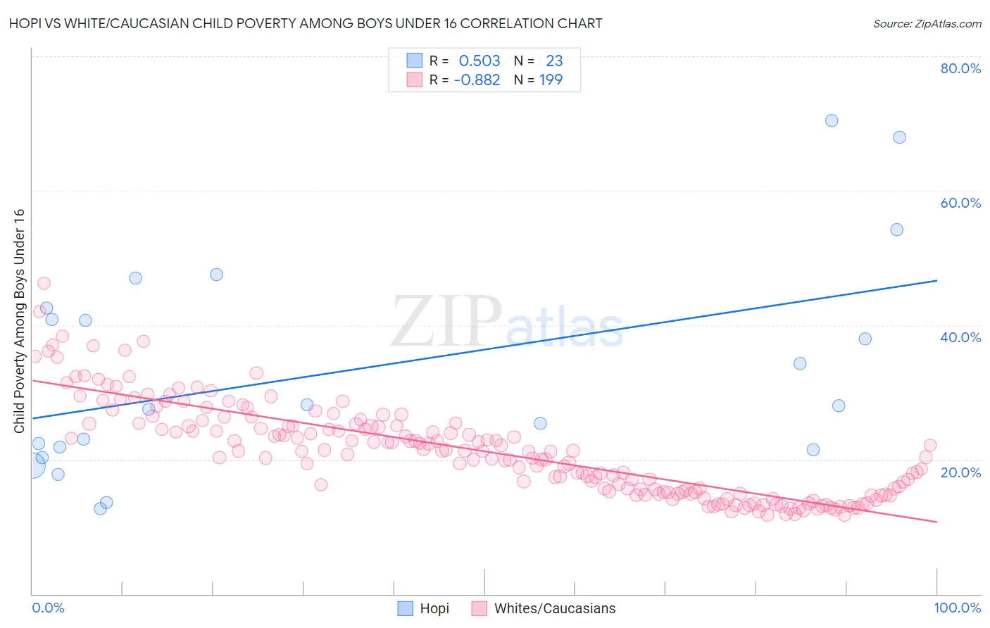Hopi vs White/Caucasian Child Poverty Among Boys Under 16