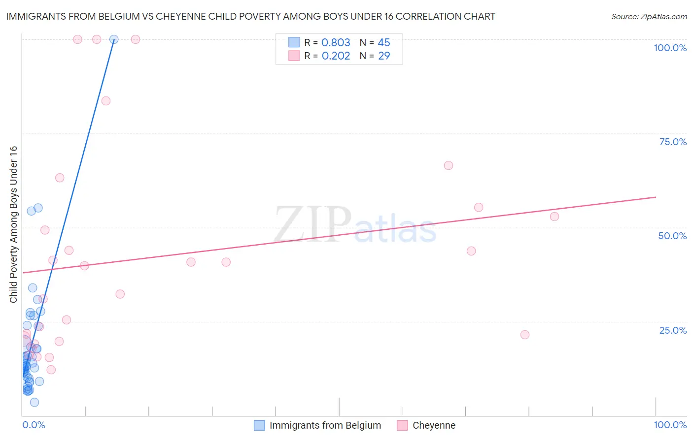 Immigrants from Belgium vs Cheyenne Child Poverty Among Boys Under 16
