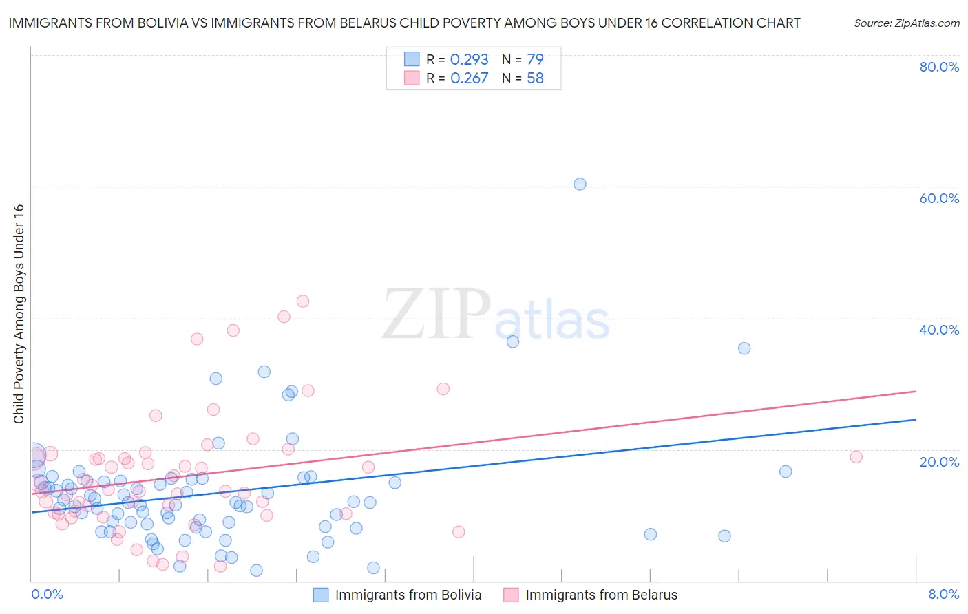 Immigrants from Bolivia vs Immigrants from Belarus Child Poverty Among Boys Under 16