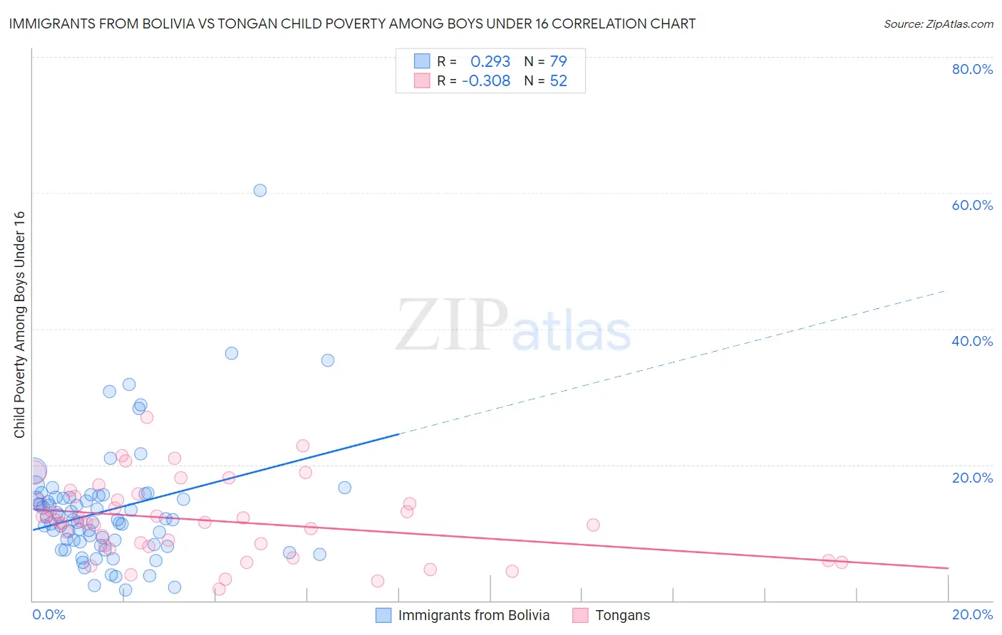 Immigrants from Bolivia vs Tongan Child Poverty Among Boys Under 16