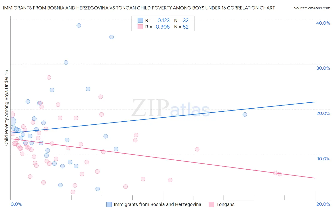 Immigrants from Bosnia and Herzegovina vs Tongan Child Poverty Among Boys Under 16