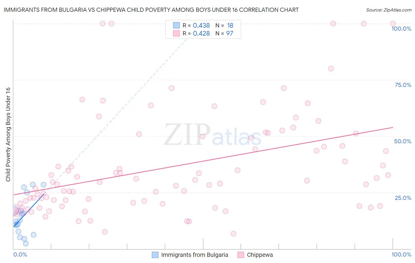 Immigrants from Bulgaria vs Chippewa Child Poverty Among Boys Under 16