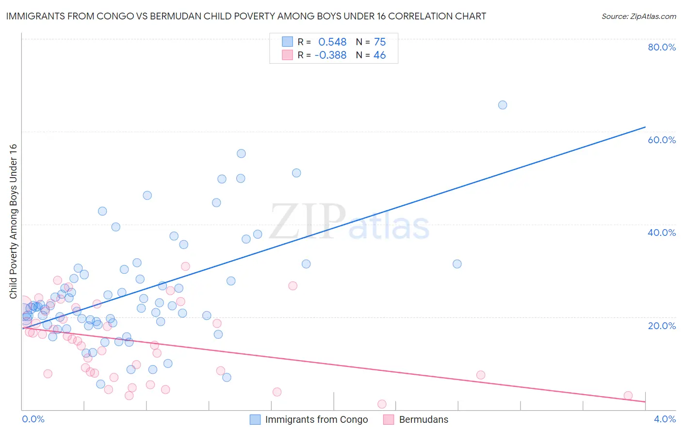 Immigrants from Congo vs Bermudan Child Poverty Among Boys Under 16