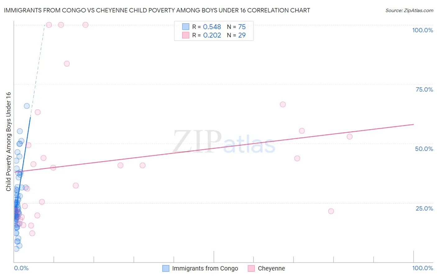 Immigrants from Congo vs Cheyenne Child Poverty Among Boys Under 16