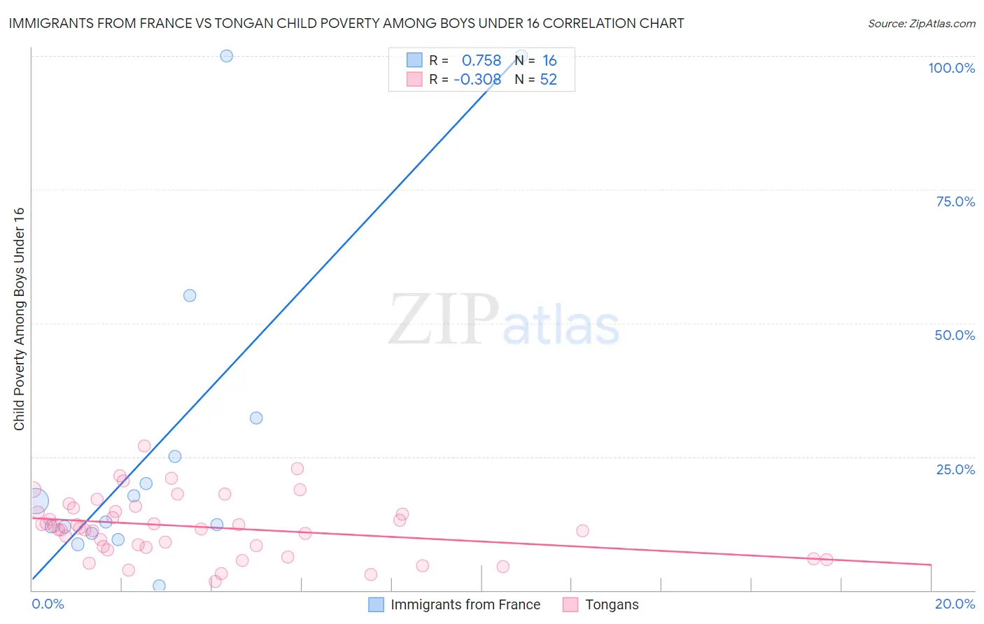 Immigrants from France vs Tongan Child Poverty Among Boys Under 16