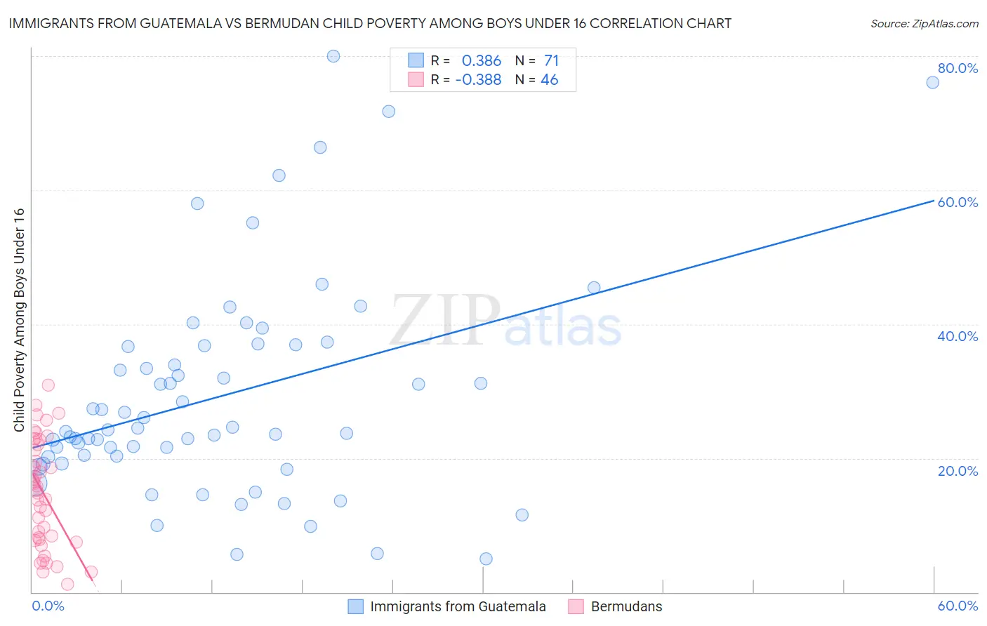 Immigrants from Guatemala vs Bermudan Child Poverty Among Boys Under 16