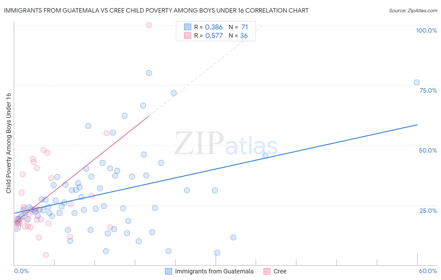 Immigrants from Guatemala vs Cree Child Poverty Among Boys Under 16