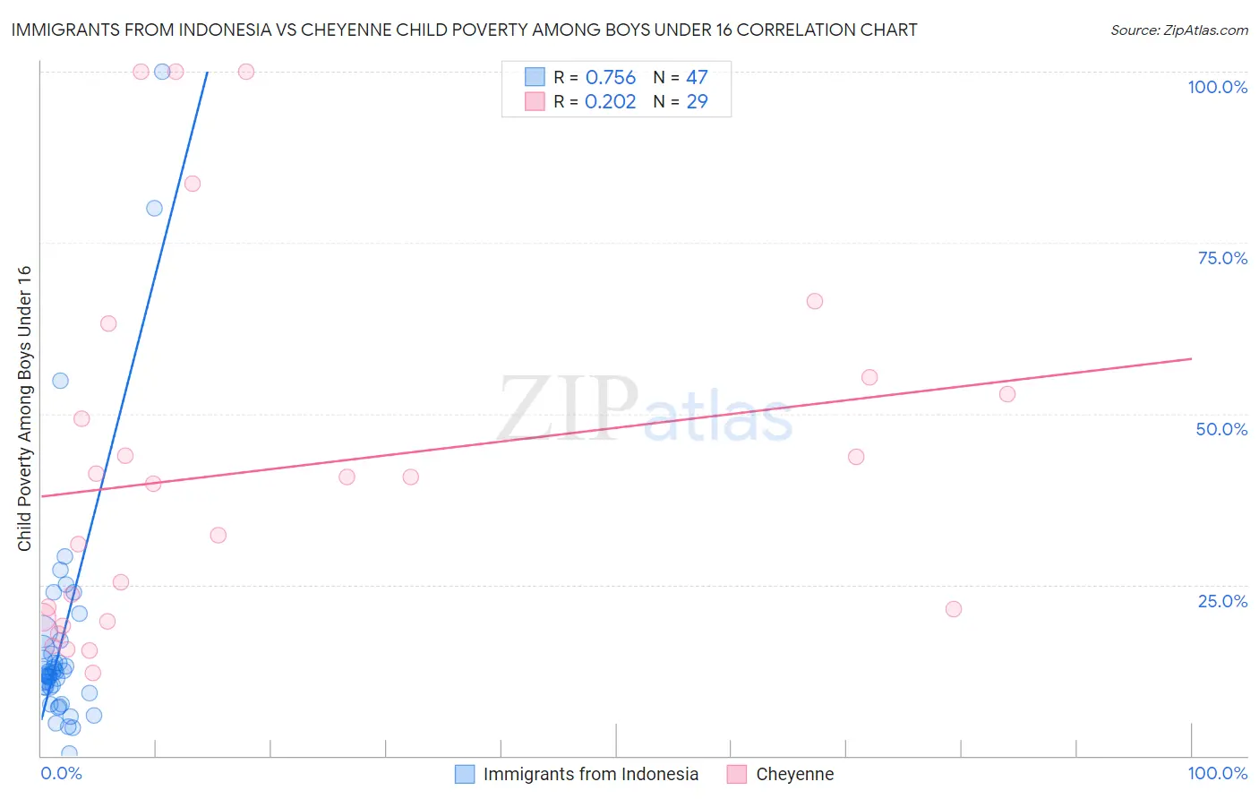 Immigrants from Indonesia vs Cheyenne Child Poverty Among Boys Under 16