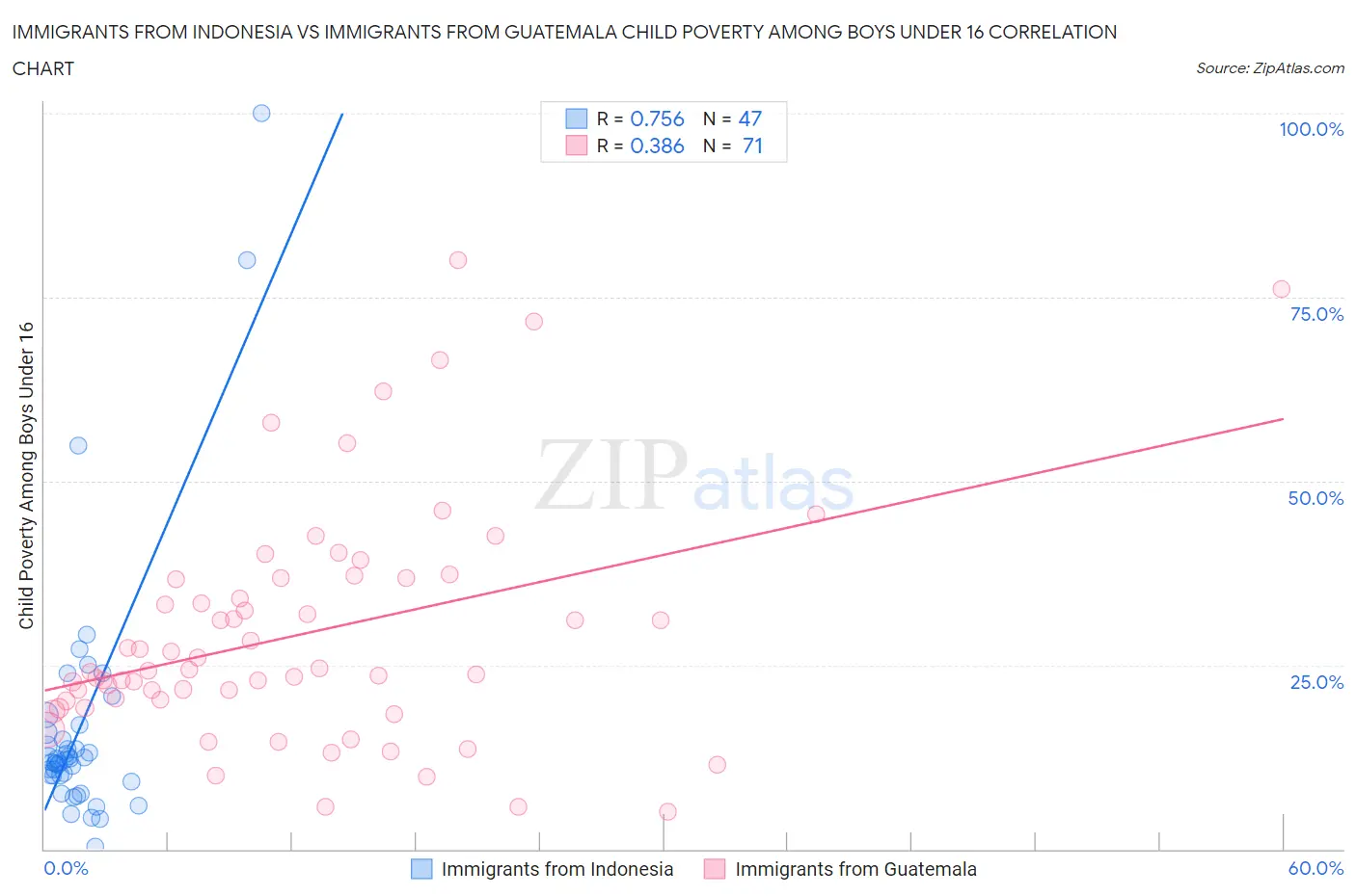 Immigrants from Indonesia vs Immigrants from Guatemala Child Poverty Among Boys Under 16
