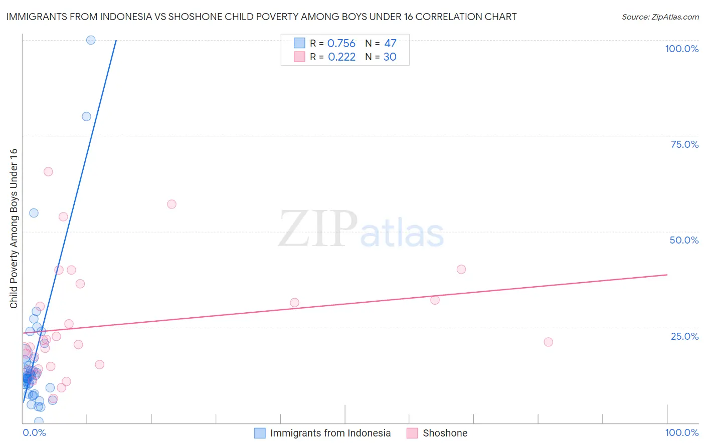 Immigrants from Indonesia vs Shoshone Child Poverty Among Boys Under 16