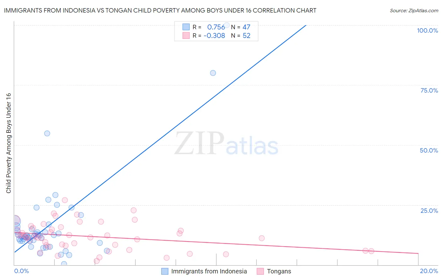 Immigrants from Indonesia vs Tongan Child Poverty Among Boys Under 16