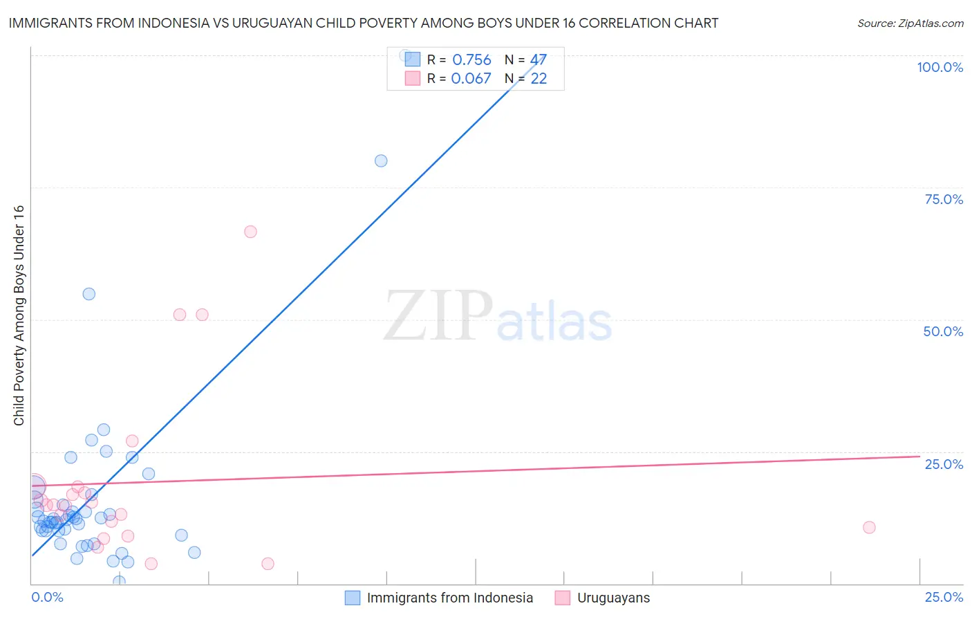 Immigrants from Indonesia vs Uruguayan Child Poverty Among Boys Under 16