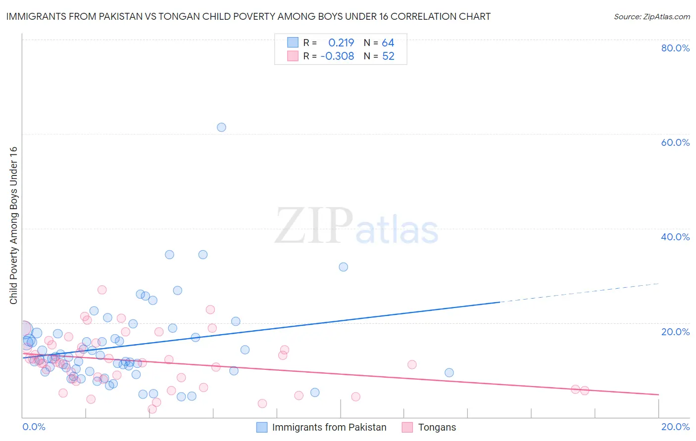 Immigrants from Pakistan vs Tongan Child Poverty Among Boys Under 16