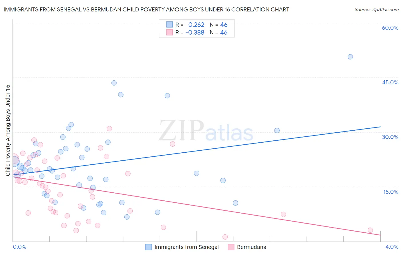 Immigrants from Senegal vs Bermudan Child Poverty Among Boys Under 16