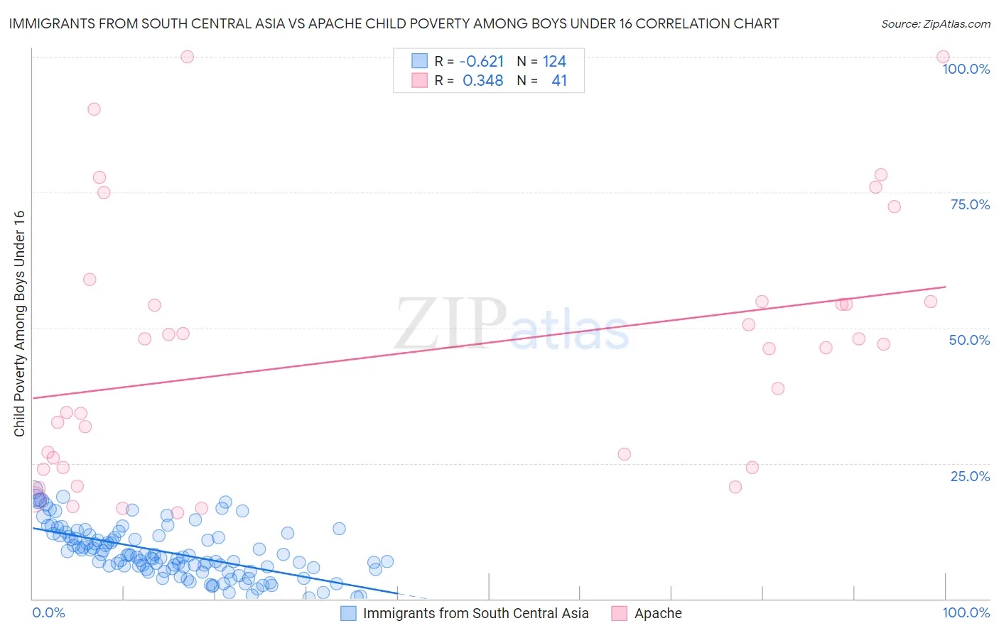 Immigrants from South Central Asia vs Apache Child Poverty Among Boys Under 16