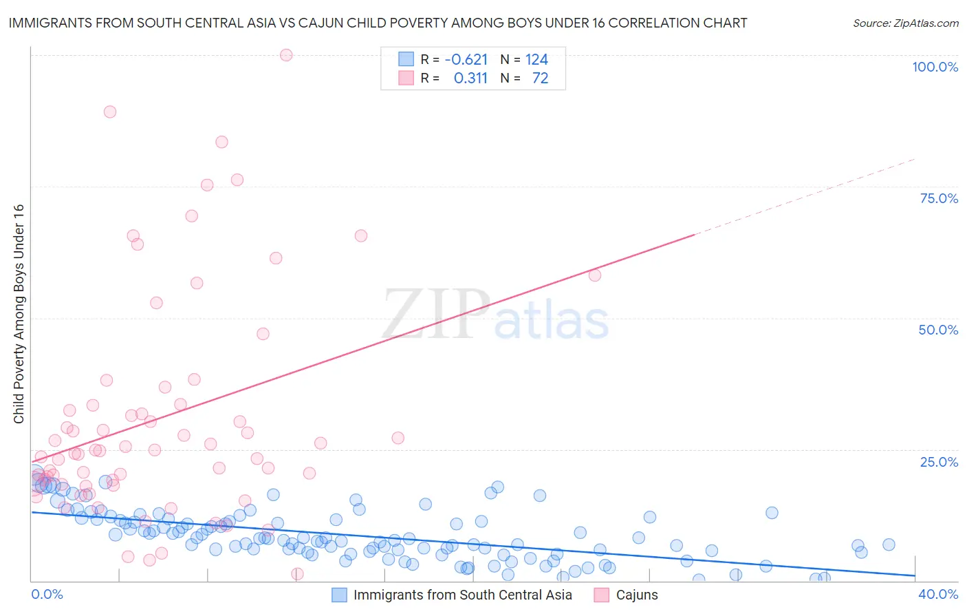 Immigrants from South Central Asia vs Cajun Child Poverty Among Boys Under 16