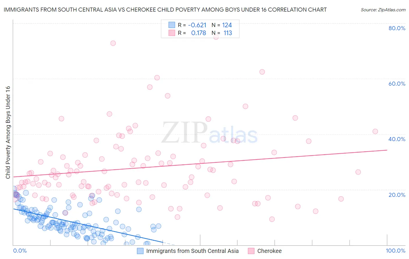 Immigrants from South Central Asia vs Cherokee Child Poverty Among Boys Under 16