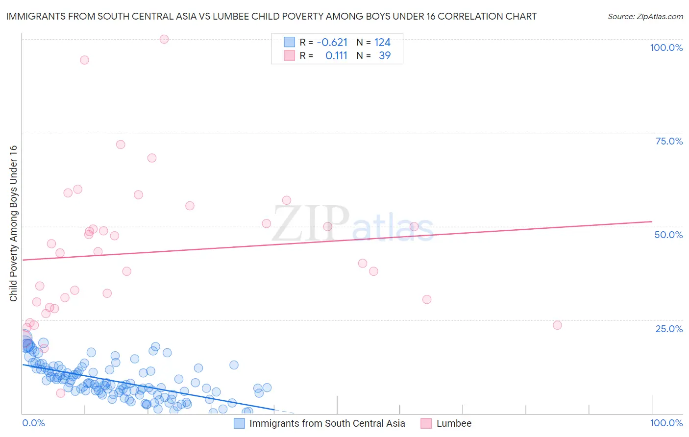 Immigrants from South Central Asia vs Lumbee Child Poverty Among Boys Under 16