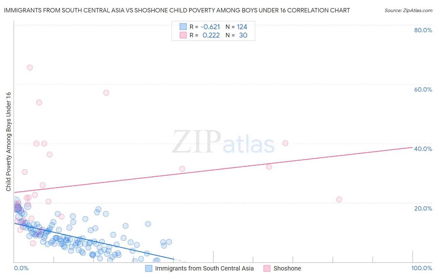 Immigrants from South Central Asia vs Shoshone Child Poverty Among Boys Under 16