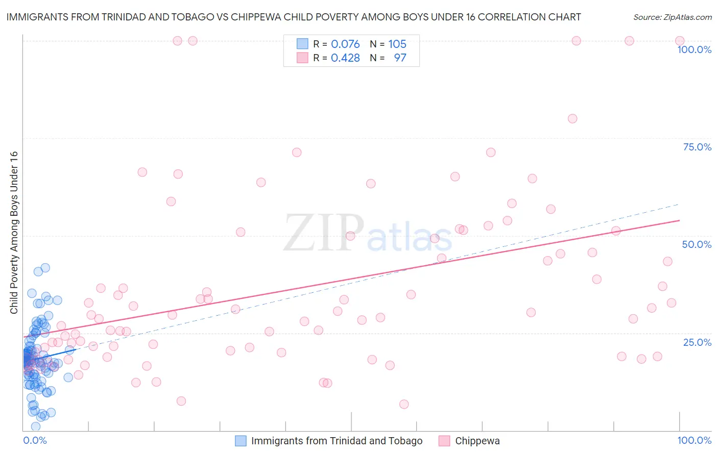 Immigrants from Trinidad and Tobago vs Chippewa Child Poverty Among Boys Under 16