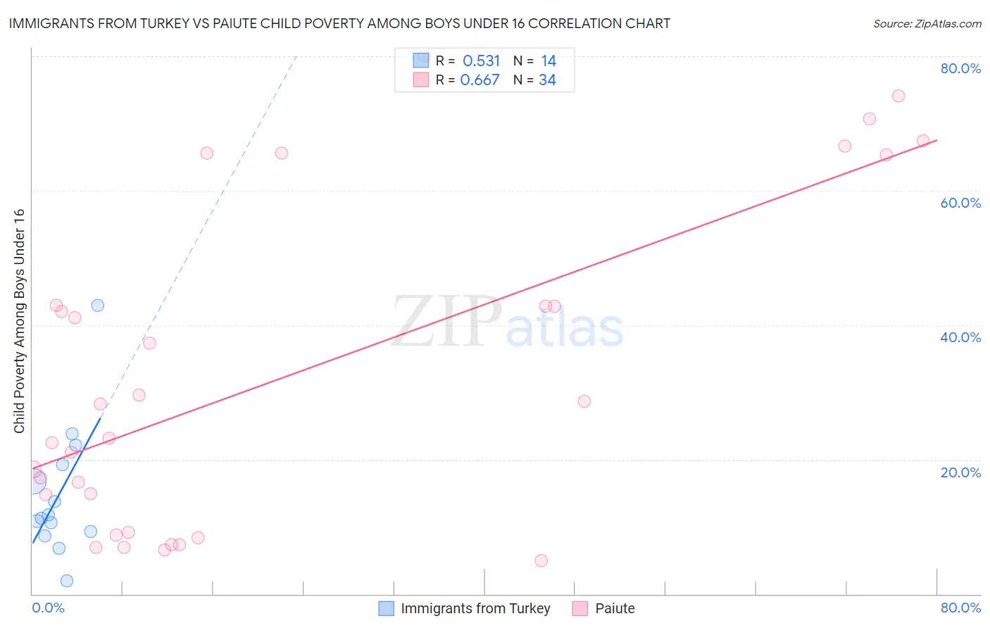 Immigrants from Turkey vs Paiute Child Poverty Among Boys Under 16