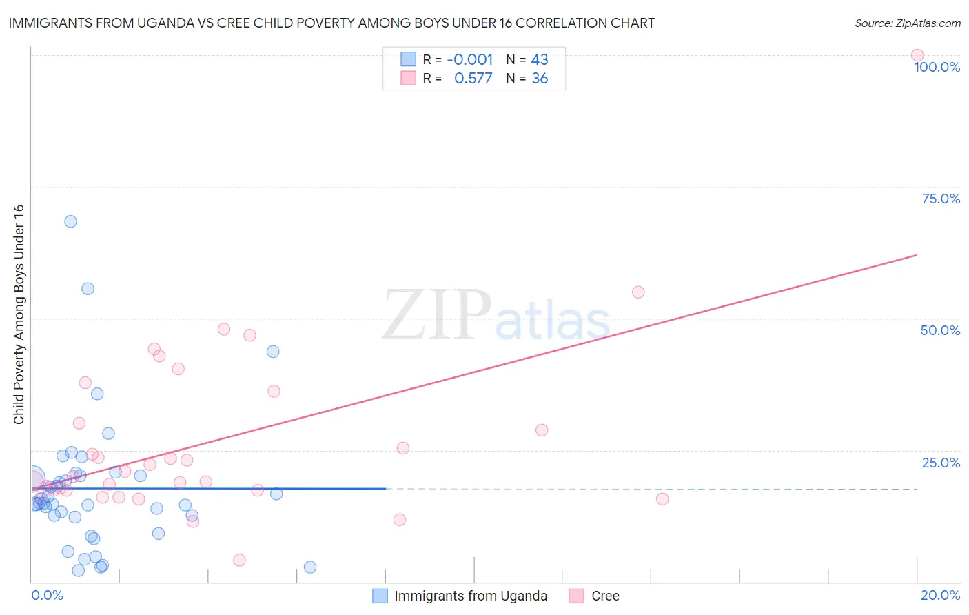 Immigrants from Uganda vs Cree Child Poverty Among Boys Under 16