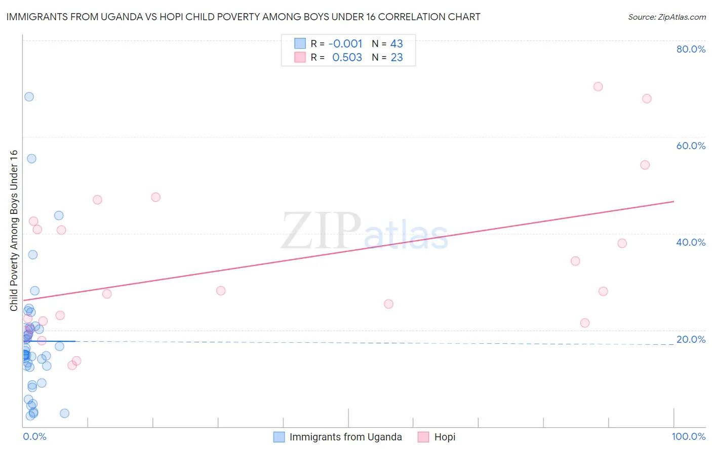 Immigrants from Uganda vs Hopi Child Poverty Among Boys Under 16