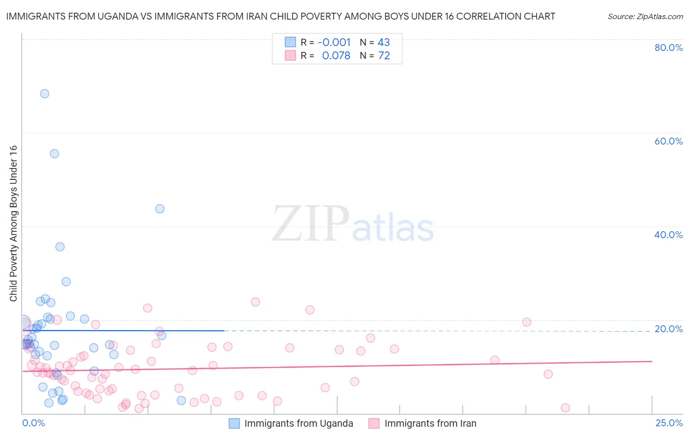 Immigrants from Uganda vs Immigrants from Iran Child Poverty Among Boys Under 16