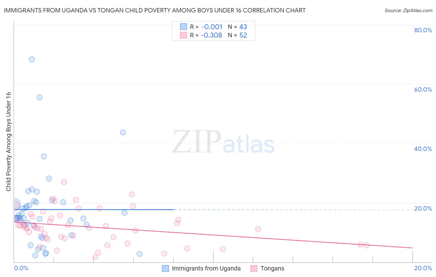 Immigrants from Uganda vs Tongan Child Poverty Among Boys Under 16