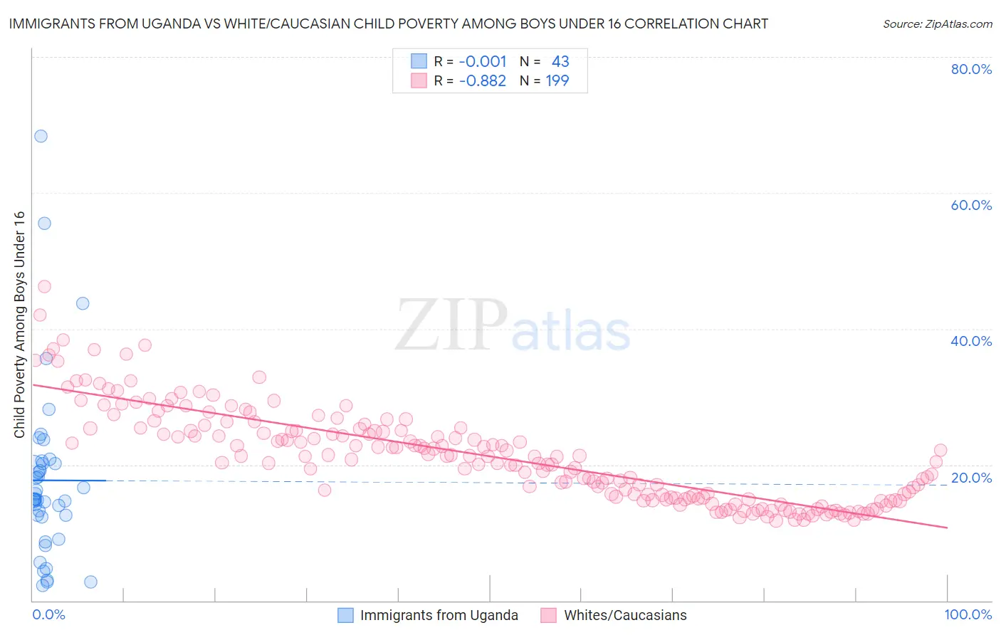 Immigrants from Uganda vs White/Caucasian Child Poverty Among Boys Under 16