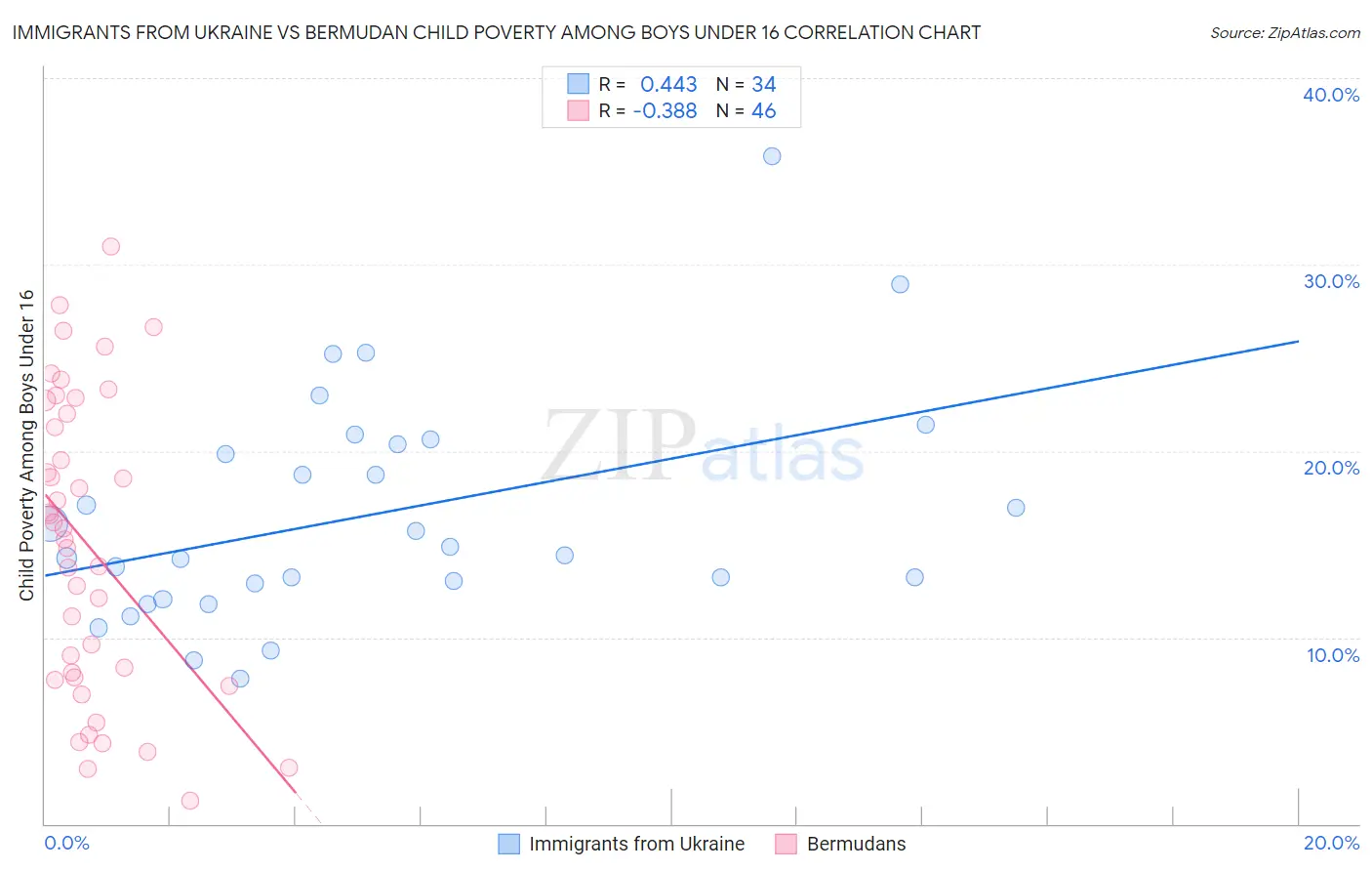 Immigrants from Ukraine vs Bermudan Child Poverty Among Boys Under 16