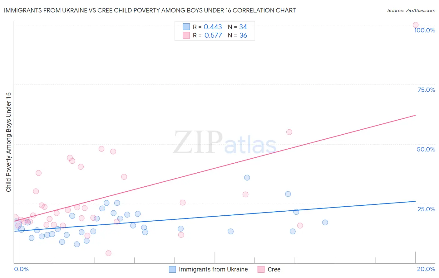 Immigrants from Ukraine vs Cree Child Poverty Among Boys Under 16