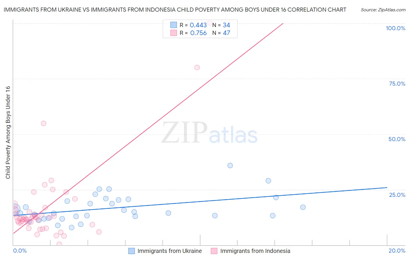 Immigrants from Ukraine vs Immigrants from Indonesia Child Poverty Among Boys Under 16