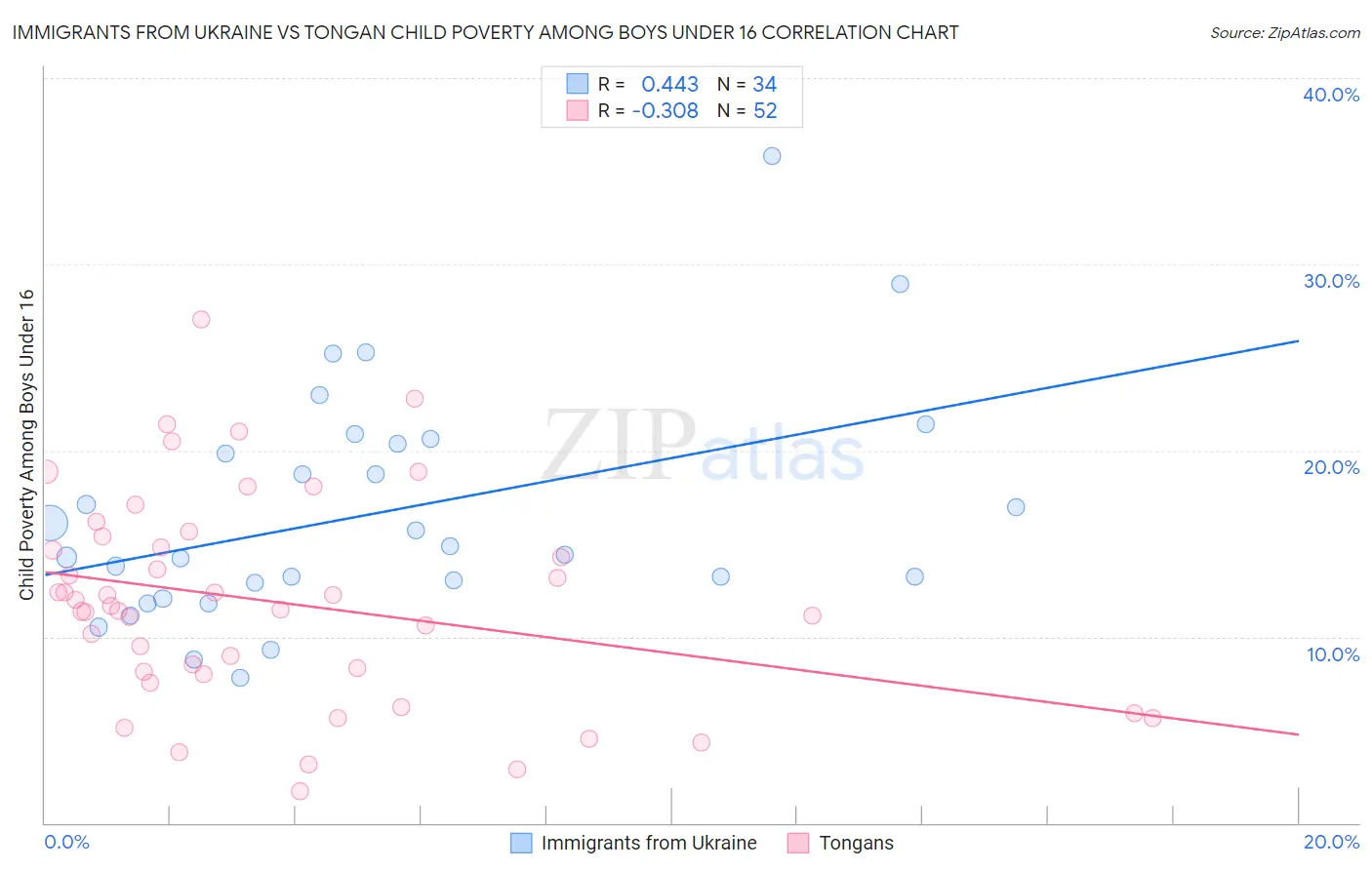 Immigrants from Ukraine vs Tongan Child Poverty Among Boys Under 16