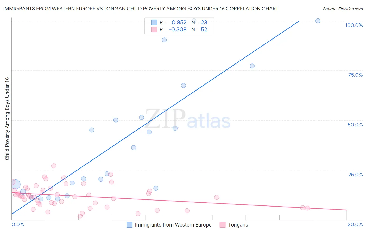 Immigrants from Western Europe vs Tongan Child Poverty Among Boys Under 16