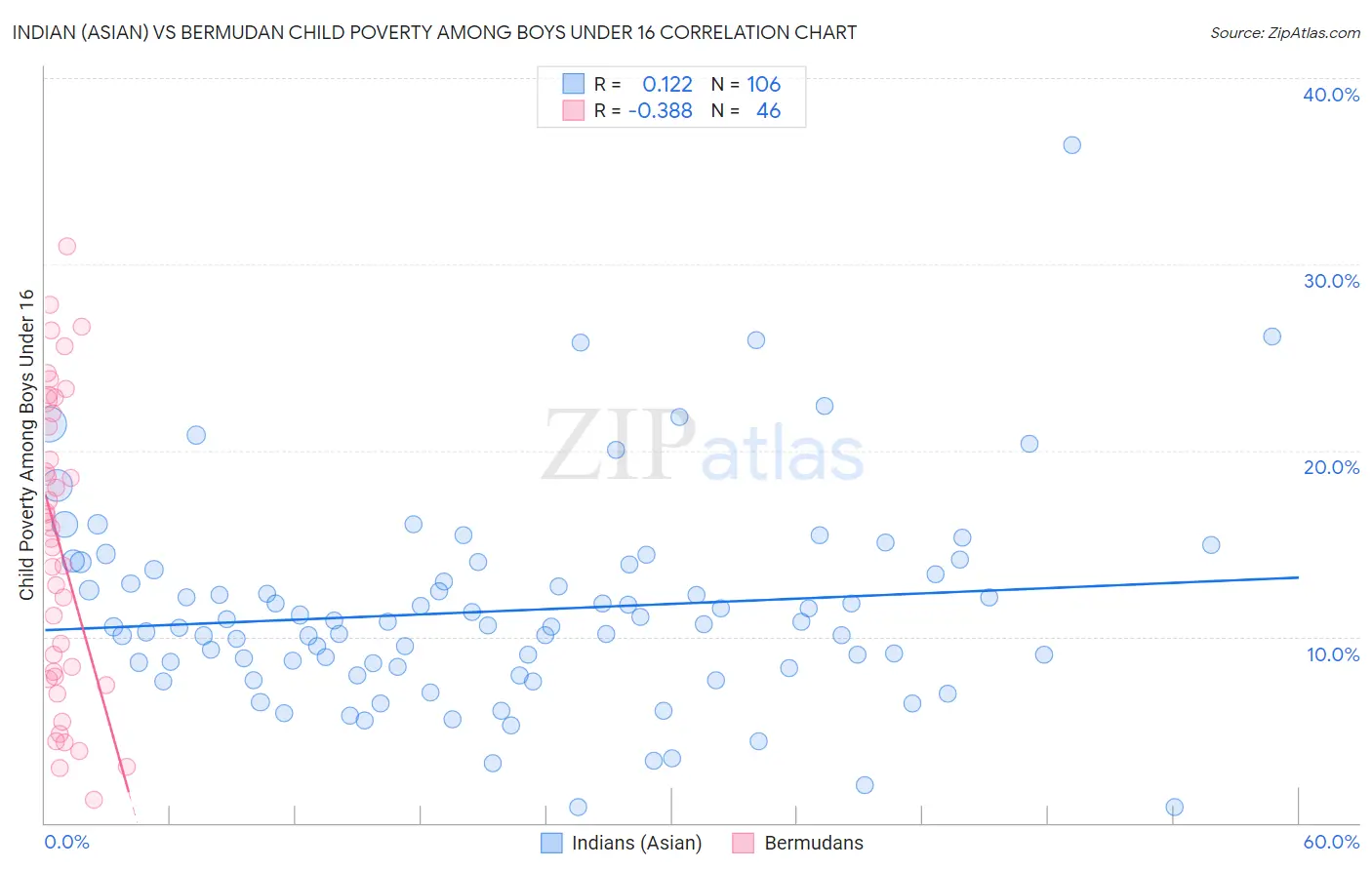 Indian (Asian) vs Bermudan Child Poverty Among Boys Under 16