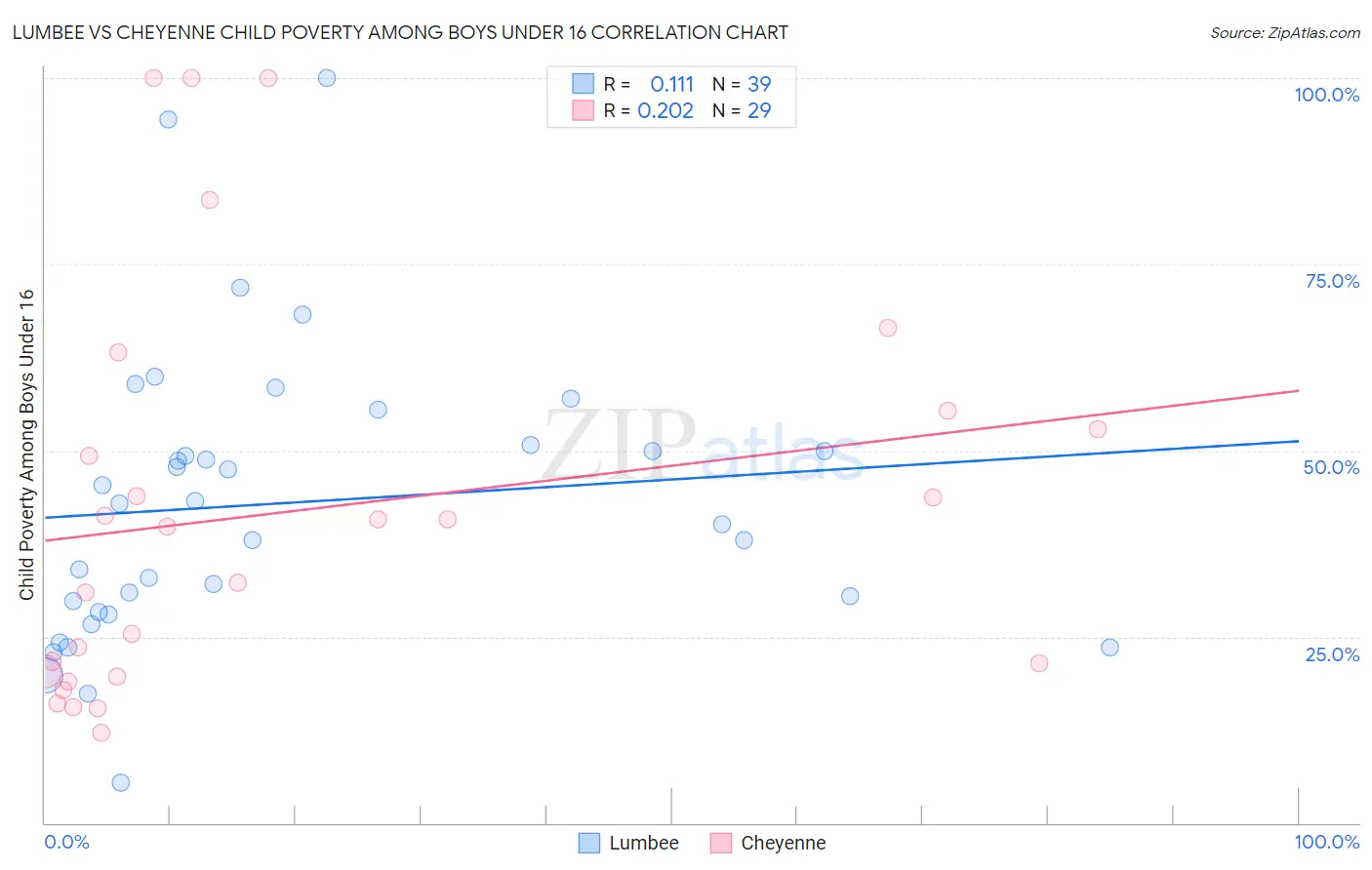 Lumbee vs Cheyenne Child Poverty Among Boys Under 16