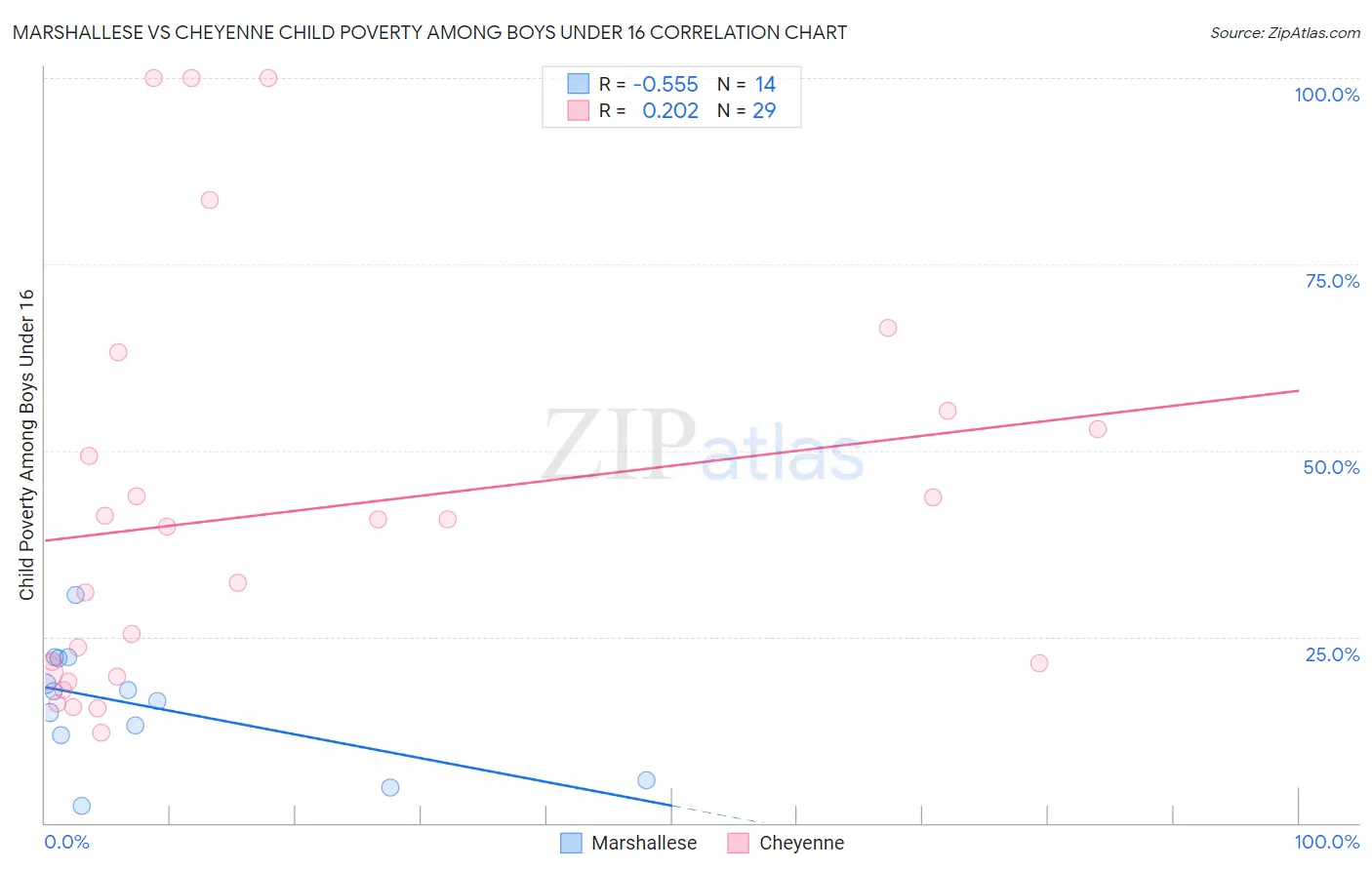 Marshallese vs Cheyenne Child Poverty Among Boys Under 16