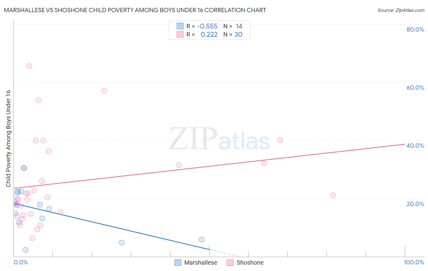 Marshallese vs Shoshone Child Poverty Among Boys Under 16