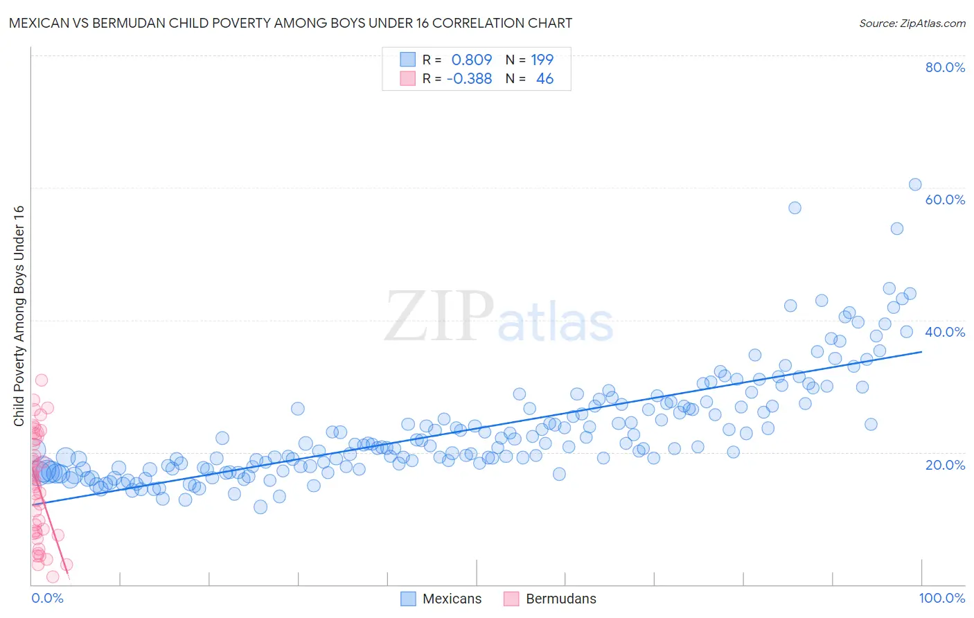 Mexican vs Bermudan Child Poverty Among Boys Under 16