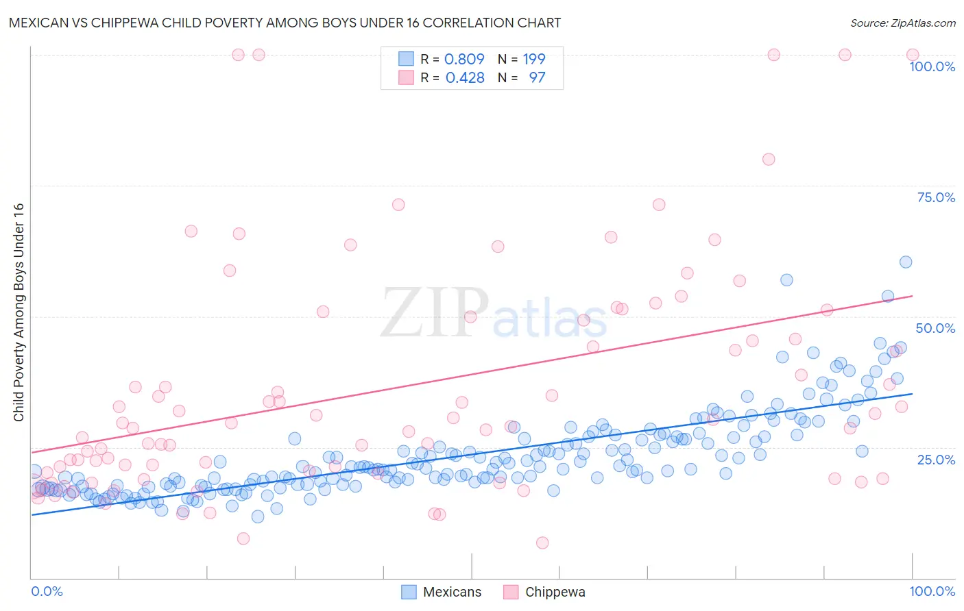 Mexican vs Chippewa Child Poverty Among Boys Under 16