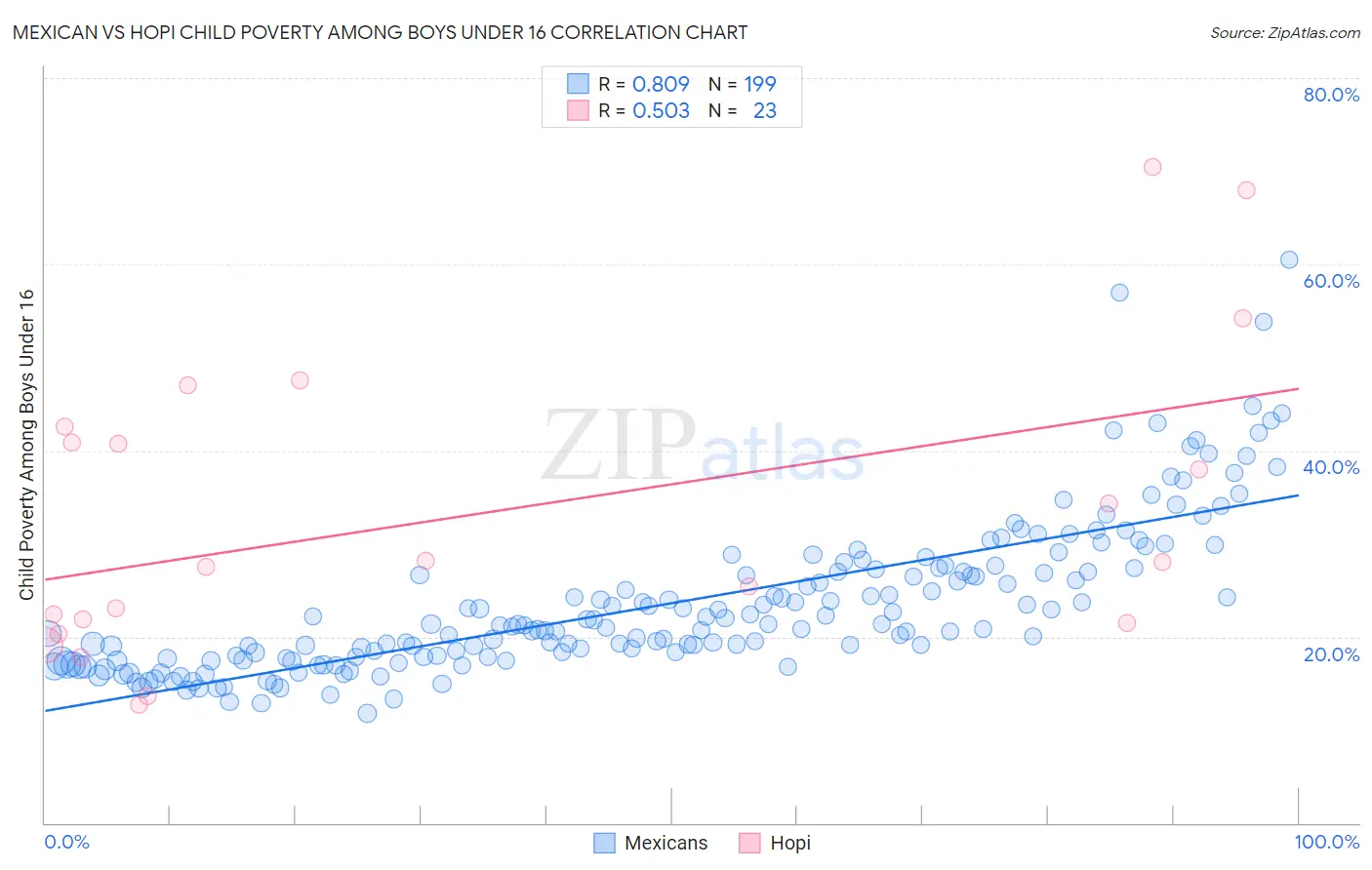 Mexican vs Hopi Child Poverty Among Boys Under 16