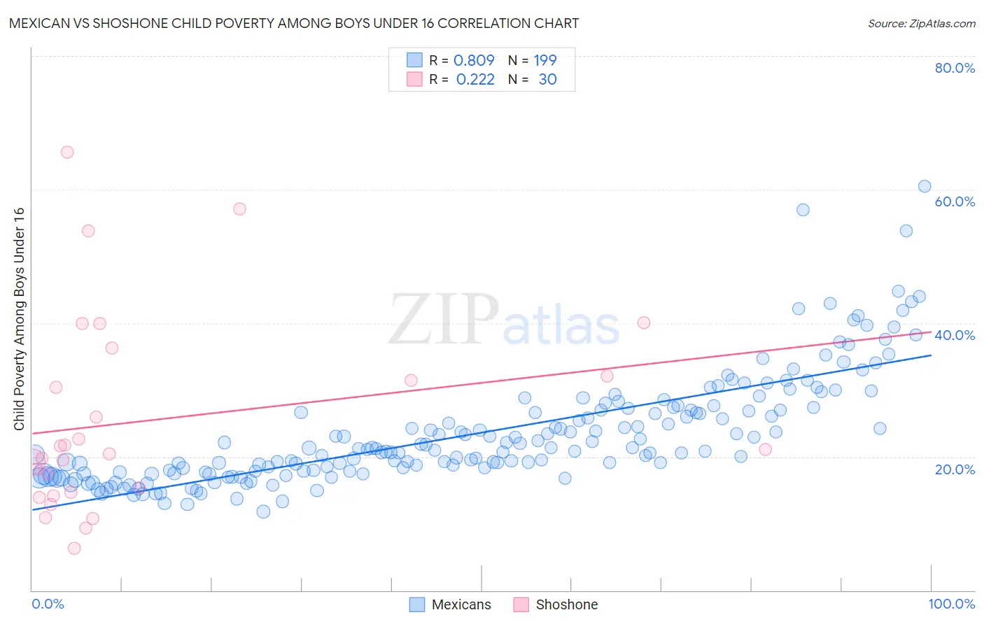 Mexican vs Shoshone Child Poverty Among Boys Under 16