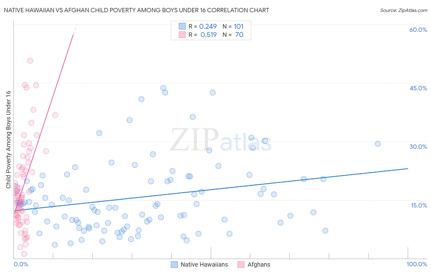 Native Hawaiian vs Afghan Child Poverty Among Boys Under 16