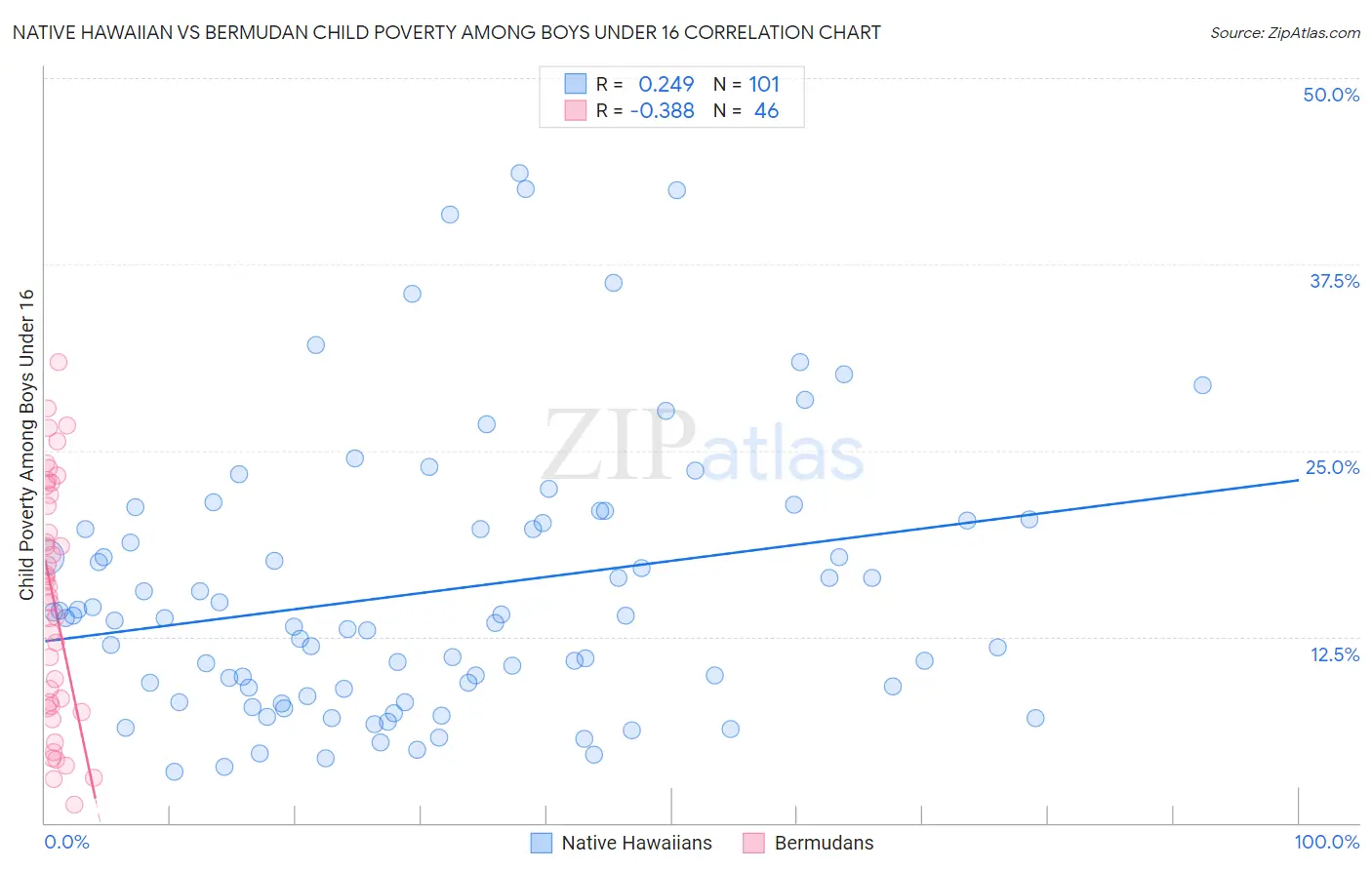 Native Hawaiian vs Bermudan Child Poverty Among Boys Under 16