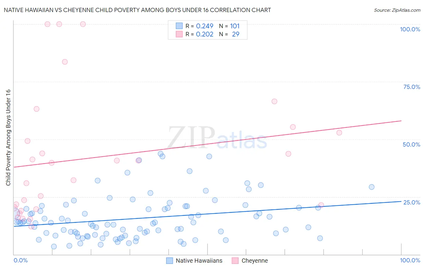 Native Hawaiian vs Cheyenne Child Poverty Among Boys Under 16