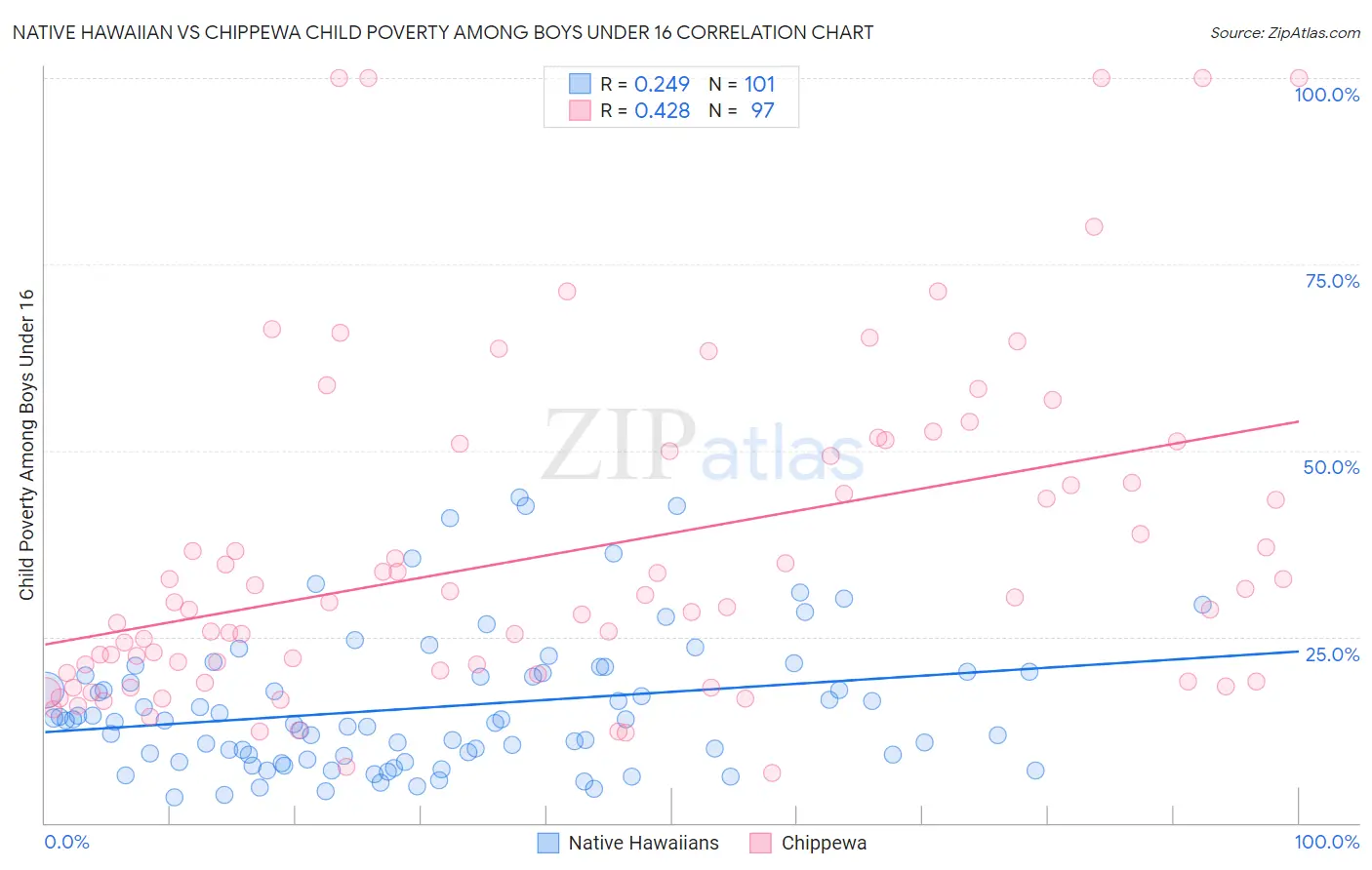 Native Hawaiian vs Chippewa Child Poverty Among Boys Under 16