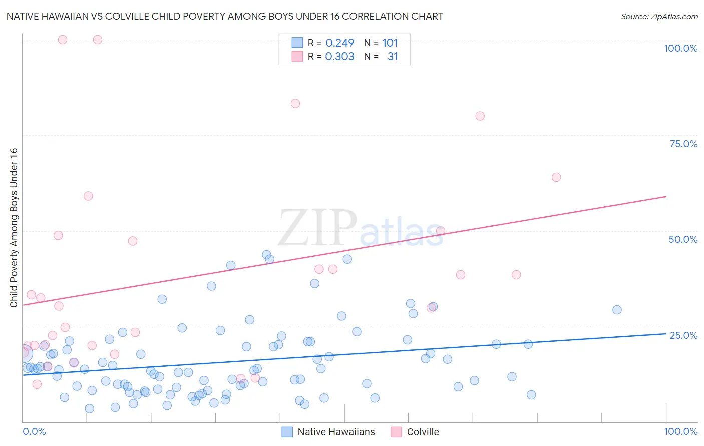 Native Hawaiian vs Colville Child Poverty Among Boys Under 16