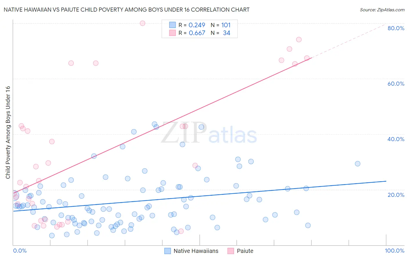 Native Hawaiian vs Paiute Child Poverty Among Boys Under 16