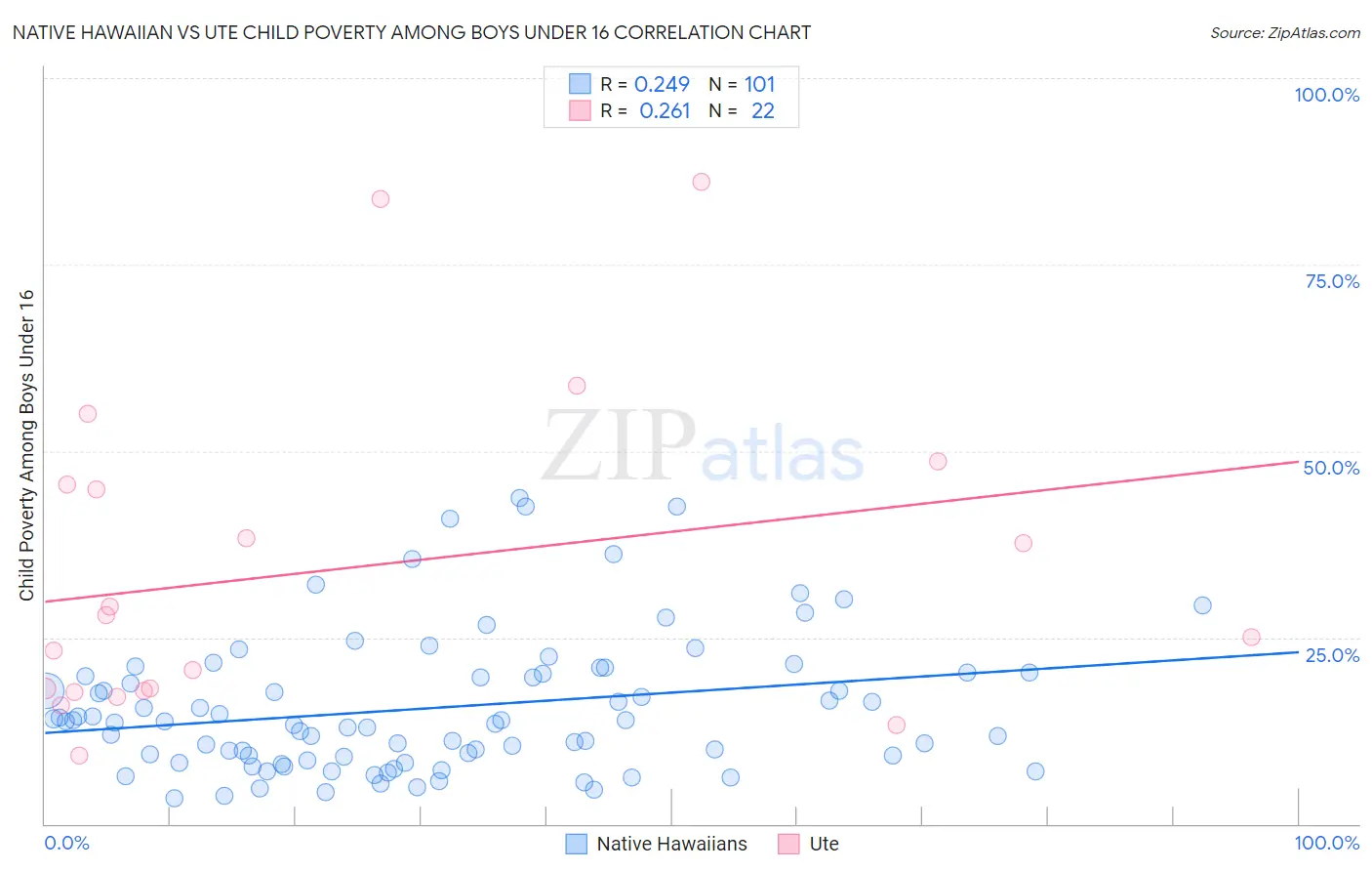 Native Hawaiian vs Ute Child Poverty Among Boys Under 16